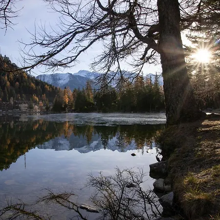 Lejlighed Parc C013 By Interhome Champex-Lac