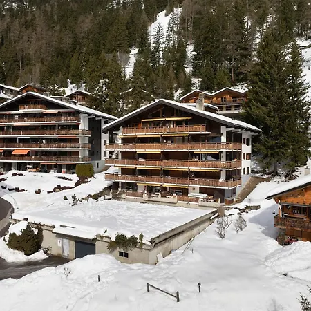 Apartment Parc C013 By Interhome Champex-Lac